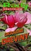OKRASNÉ DŘEVINY-RADY PĚSTITELŮM