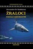 ŽRALOCI-DOKONALÍ VODNÍ PREDÁTOŘI