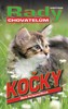 KOČKY-RADY CHOVATELŮM