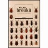 ATLAS BROUKŮ