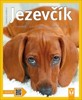 JEZEVČÍK - JAK NA TO