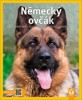NĚMECKÝ OVČÁK - JAK NA TO