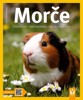 MORČE-JAK NA TO  SPRÁVNÁ PÉČE,RADY ODBORNÍKŮ,PRO ZAČÁTEČNÍKY