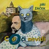 CO OČI NEVIDÍ - 2. VYDÁNÍ