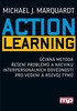 ACTION LEARNING-ÚČINNÁ METODA ŘEŠENÍ PROBLÉMŮ A NÁCVIKU INTE