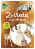 ZVÍŘATA NAŠICH LESŮ