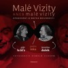 MALÉ VIZITY ANEB MALÉ VIZITY - OPAKOVÁNÍ JE MATKA MOUDROSTI