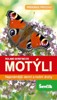 MOTÝLI-NEJZNÁMĚJŠÍ DENNÍ A NOČNÍ DRUHY