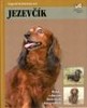 JEZEVČÍK