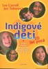 INDIGOVÉ DĚTI 10 LET POTÉ