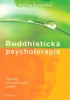 BUDDHISTICKÁ PSYCHOTERAPIE - TECHNIKY PRO UZDRAVUJÍCÍ ZMĚNY