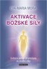 AKTIVACE BOŽSKÉ SÍLY - SVĚTELNÁ POMOC PŘI PŘECHODU DO NOVÉHO