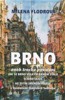 BRNO ANEB TROCHA POVÍDÁNÍ JAK SE BRNO VELKÝM BRNEM STALO