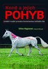 KONĚ A JEJICH POHYB