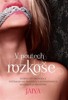 V POUTECH ROZKOŠE