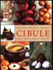 CIBULE-RADY, KRÁSA, ZDRAVÍ, RECEPTY-BABIČČINA PŘÍRODNÍ LÉKÁ.