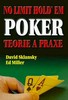 NO LIMIT HOLD'EM POKER -TEORIE A PRAXE