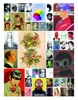100 ILUSTRÁTORŮ