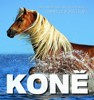 KONĚ - TEMPERAMENT A ELEGANCE VE FOTOGRAFIÍCH