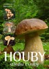 HOUBY STŘEDNÍ EVROPY