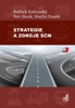 STRATEGIE A ZDROJE SCM