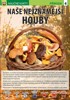 NAŠE NEJZNÁMĚJŠÍ HOUBY-NAUČNÉ KARTY
