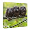 CHVILKY V PŘÍRODĚ