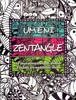 UMĚNÍ ZENTANGLE