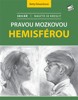 SKICÁŘ-NAUČTE SE KRESLIT PRAVOU MOZKOVOU HEMISFÉROU