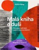 MALÁ KNIHA O DUŠI-PRŮVODCE NAŠÍ DUŠÍ A JEJÍMI ONEMOCNĚNÍMI