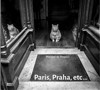 PARIS, PRAHA, ETC...
