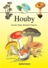 HOUBY