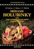 SBÍRÁME HOLUBINKY
