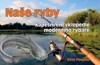 NAŠE RYBY-KAPESNÍ ENCYKLOPEDIE MODERNÍHO RYBÁŘE