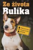 ZE ŽIVOTA BULÍKA-POKRAČOVÁNÍ DEXTEROVÝCH PŘÍBĚHŮ
