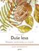 ARTETERAPIE-DUŠE LESA