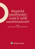 ATYPICKÁ ZAMĚSTNÁNÍ-CESTA K VYŠŠÍ ZAMĚNSTANOSTI?