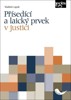 PŘÍSEDÍCÍ A LAICKÝ PRVAK V JUSTICI