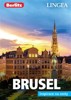 BRUSEL-INSPIRACE NA CESTY PRŮVODCE BERLITZ