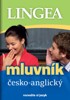 MLUVNÍK ČESKO-ANGLICKÝ