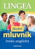 ŠKOLNÍ MLUVNÍK ČESKO-ANGLICKÝ S VÝSLOVNOSTÍ