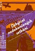 LABYRINT NEDOKONČENÝCH SETKÁNÍ