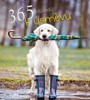 365 DŮVODŮ K ÚSMĚVU