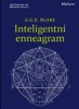 INTELIGENTNÍ ENNEAGRAM