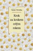 KROK ZA KROKEM CELÝM ROKEM