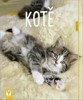KOTĚ - JAK NA TO?