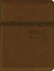 BIBLE S DT PEVNÁ ZLATOHNĚDÁ