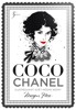 COCO CHANEL-ILUSTROVANÝ SVĚT MÓDNÍ IKONY