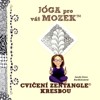 JÓGA PRO VÁŠ MOZEK-CVIČENÍ ZENTANGLE KRESBOU