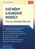 CIZÍ MĚNY A KURSOVÉ ROZDÍLY VÝKLAD A ŘEŠENÉ PŘÍPADY
